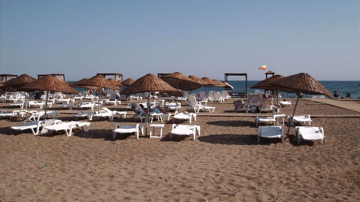 Relaxing sandy beach with empty lounge chairs and umbrellas by the ocean