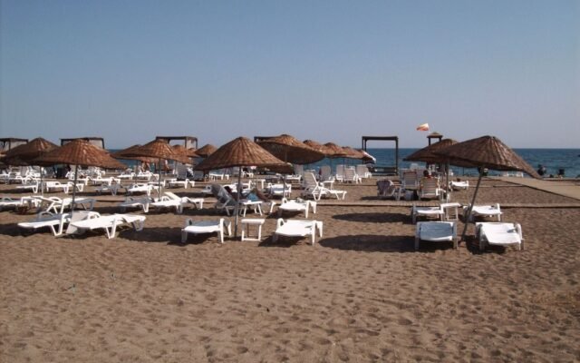 Relaxing sandy beach with empty lounge chairs and umbrellas by the ocean