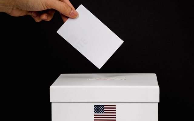 Close-up of a hand placing a ballot into a voting box marked 'Vote'