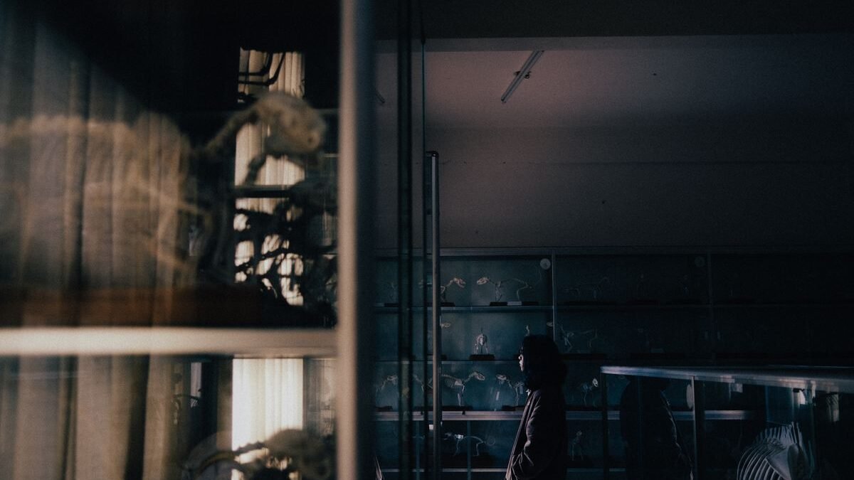 A woman observing animal skeletons in a dimly lit laboratory display