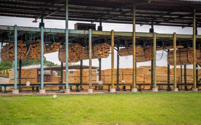 Image of stacked wooden planks in an outdoor lumber yard